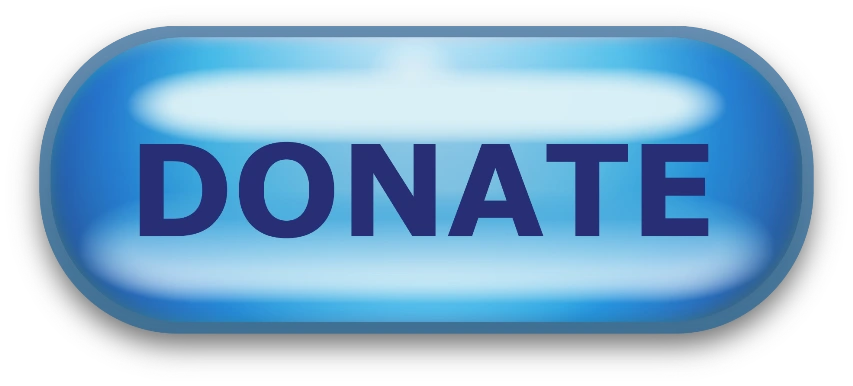 Google’s New “Donate” Button Google’s New “Donate” Button