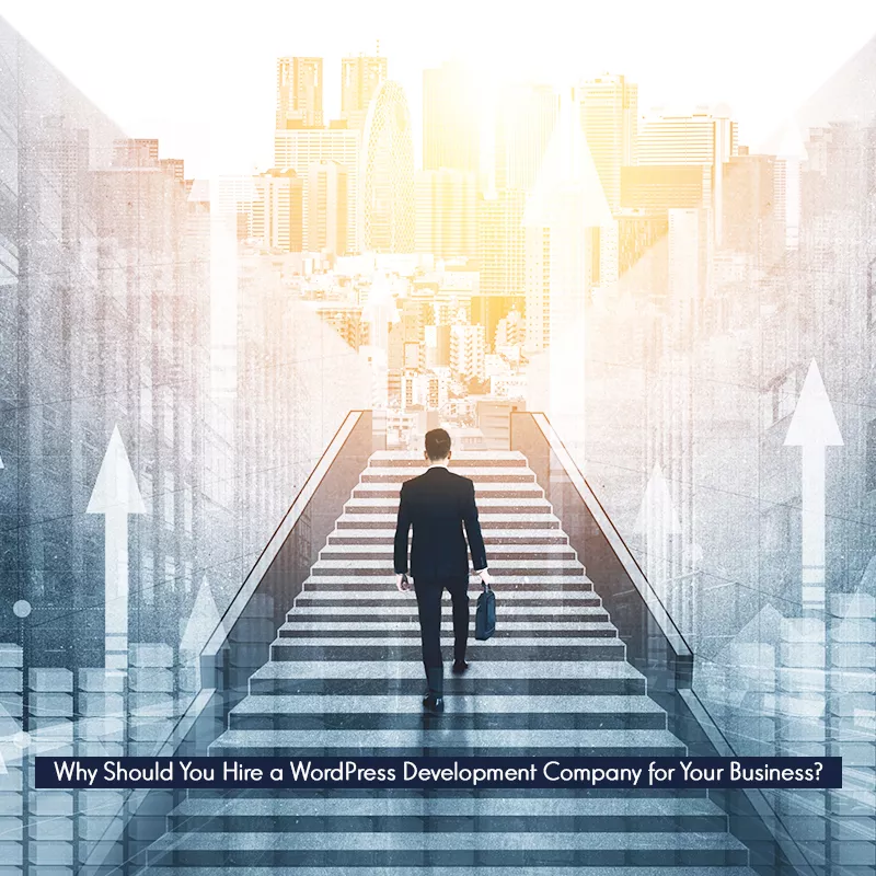 Hire a WordPress Development Company for Your Business Hire a WordPress Development Company for Your Business