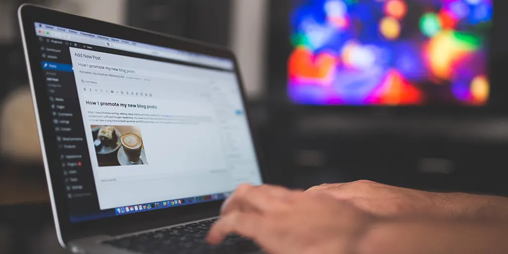 WordPress Developer WordPress Developer